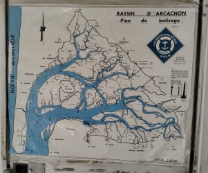 arb14.jpg