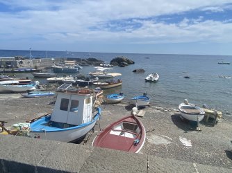 IMG_1937.jpeg