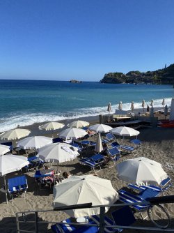 IMG_2075.jpeg