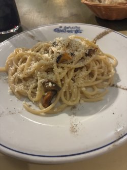IMG_2655.jpeg