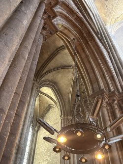 IMG_3081.jpg
