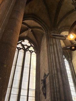 IMG_3082.jpg