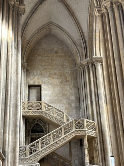 IMG_3098.jpg
