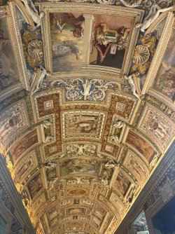 IMG_2678.jpeg