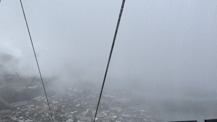 IMG_8082.jpeg
