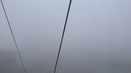 IMG_8083.jpeg