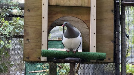 IMG_8185.jpeg