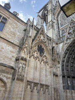 IMG_3123.jpg