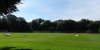 1-DSC09417.jpg 1-DSC09417.jpg