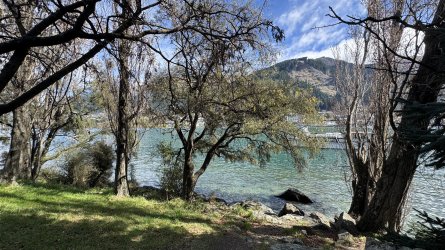 IMG_8203.jpeg
