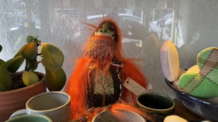 IMG_8229.jpeg