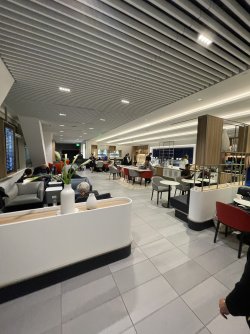 IMG_6256.jpeg