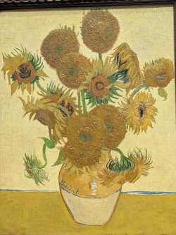 sunflowers.jpg