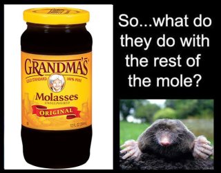 Molasses-68c10ac591065__605.jpg