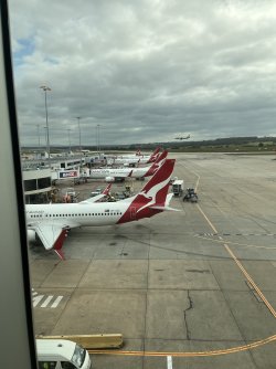 IMG_3017.jpeg