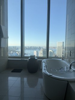 IMG_4602.jpeg