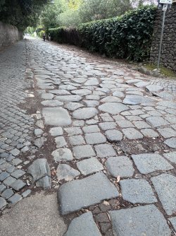 IMG_2818.jpeg