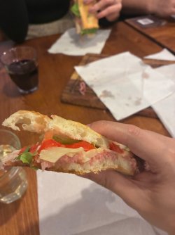 IMG_2827.jpeg