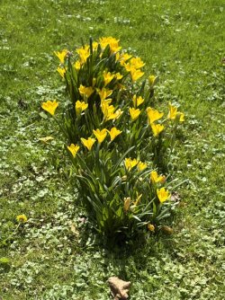 IMG_3219.jpg