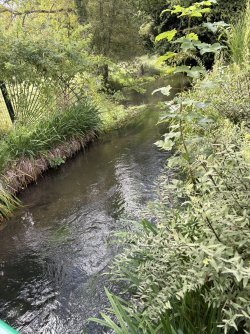 IMG_3230.jpg