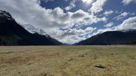 IMG_8321.jpeg