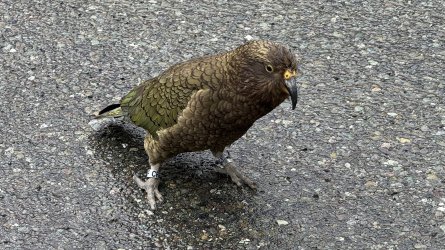 IMG_8384.jpeg