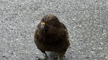 IMG_8385.jpeg