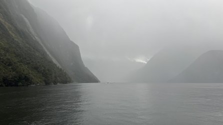 IMG_8568.jpeg