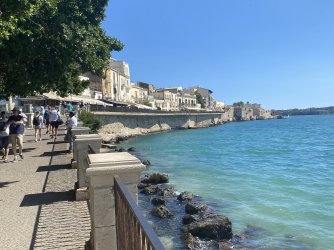 IMG_2151.jpeg