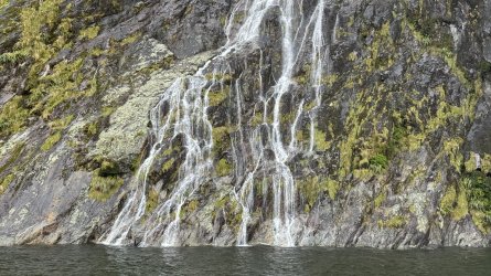 IMG_8432.jpeg