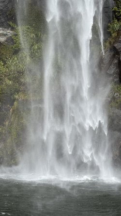 IMG_8454.jpeg
