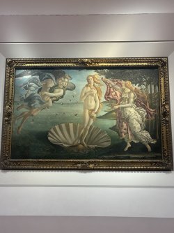 IMG_2850.jpeg