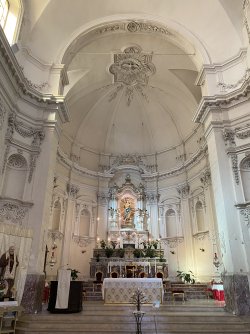 IMG_2219.jpeg