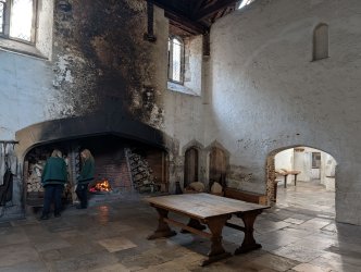 hamp8.jpg