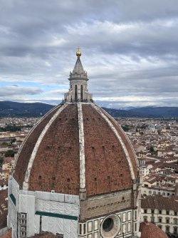 IMG_2913.jpeg