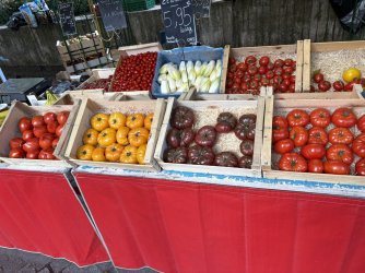 IMG_3289.jpg