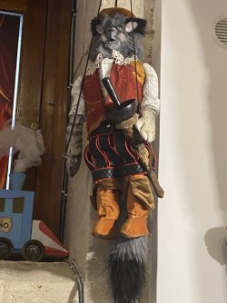 IMG_2164.jpeg