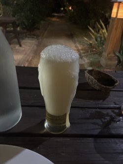 IMG_7041.jpeg