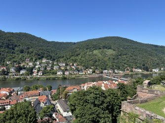 IMG_0772.JPG