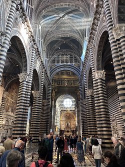 IMG_2937.jpeg
