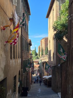 IMG_2948.jpeg