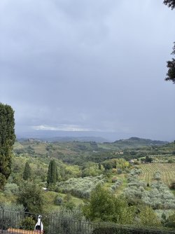 IMG_2955.jpeg