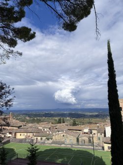 IMG_2961.jpeg