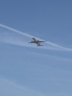 IMG_4217.jpg