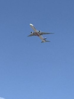 IMG_4218.jpg