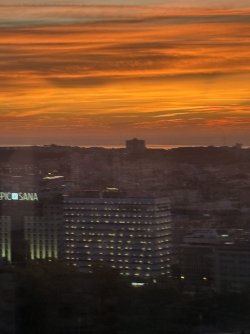 IMG_4272.jpg