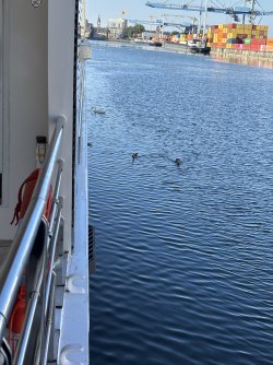IMG_0906.JPG