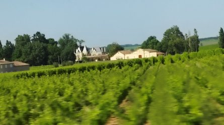 se28.jpg