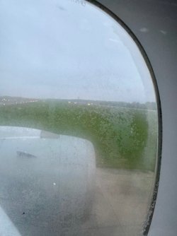 IMG_9705.jpeg