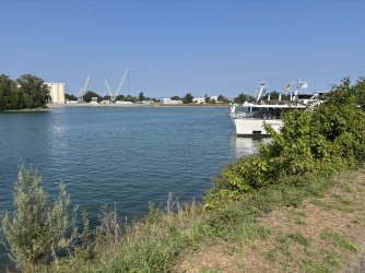 IMG_1013.JPG